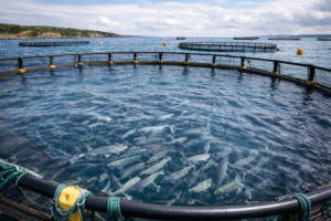 ChatGPT Image 26 févr. 2026, 13_43_38