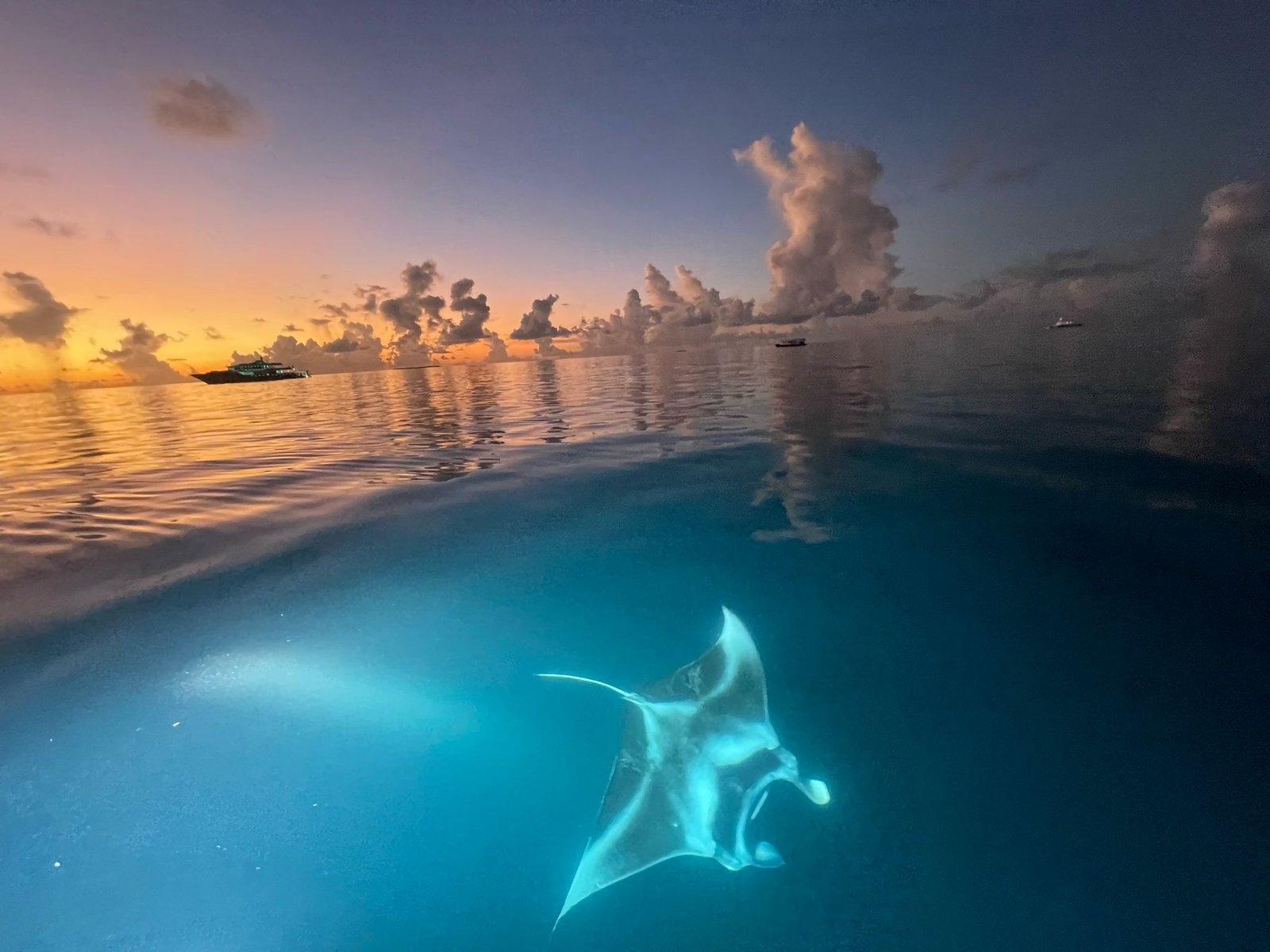 Illustration d’une scène sous-marine au coucher du soleil