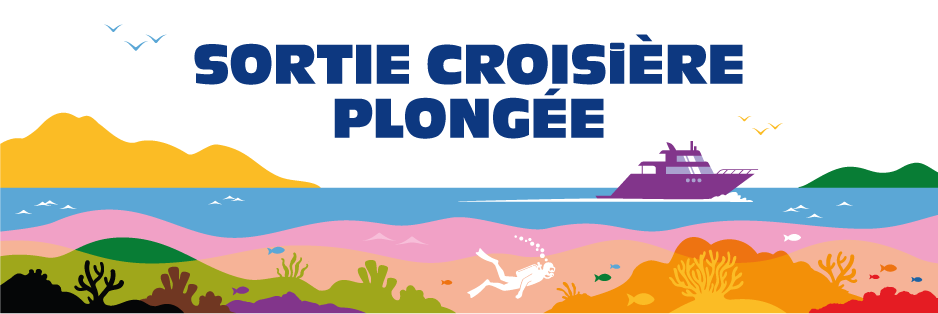 Sortie croisière plongée
