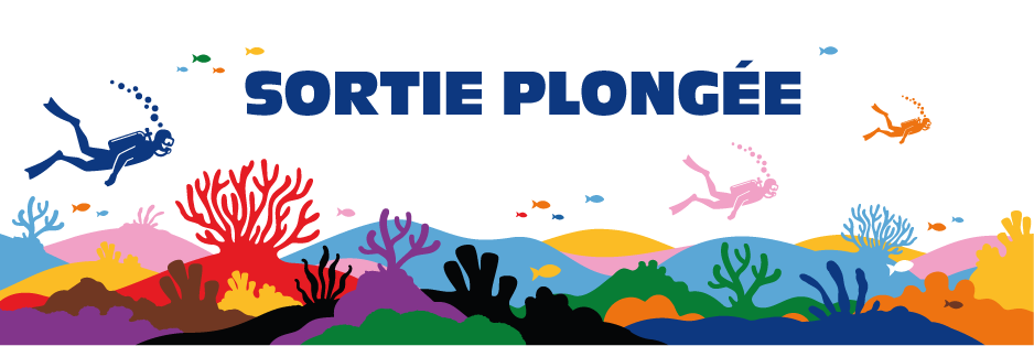 Bandeau sortie plongée