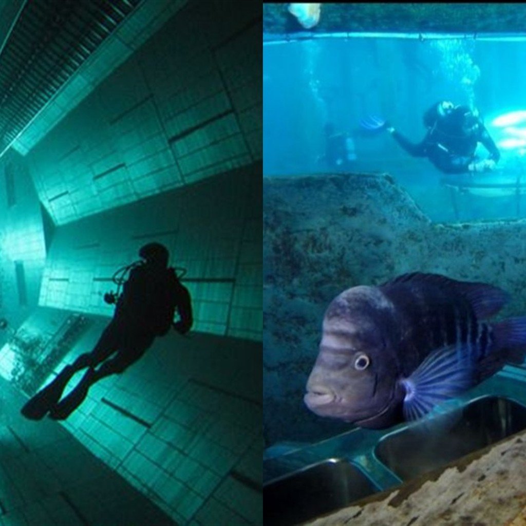 Montage de photographies réelles : Nemo33 à gauche, TODI à droite