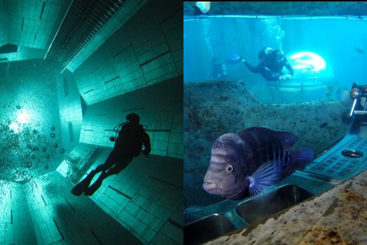 Montage de photographies réelles : Nemo33 à gauche, TODI à droite